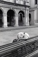 Image of sheet 19780120 photo 27: Mann schläft auf Parkbank.  New Orleans Louisiana man sleeps on a bench Old town Down town 
Vereinigte Staaten von Amerika USA U.S.A. 1978 √