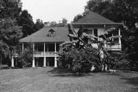 Image of sheet 19780120 photo 8: False River, Plantation House, Parlounge Family N.O. New Orleans Louisiana √
1978 Vereinigte Staaten von Amerika USA U.S.A.