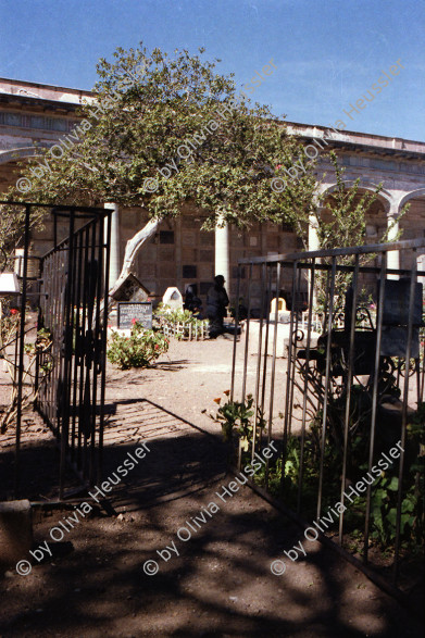 Image of sheet 19780150 photo 19: San Miguel de Allende, Mexico 1978.