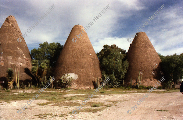 Image of sheet 19780150 photo 6: Gebäude, Menschen, Markt, Dörfer, Kathedrale, San Miguel de Allende Mexico, 1978.
Schauspieler (La grande Illusion) Robert Florian mit einer Empleada Angestellte Frida Kahlo Haus ihr Zimmer Dia del Muerto Tag der Toten eine Frau verkauft kleine Skelette aus Zucker San Miguel de Allende Markt Betrunkener liegt auf der Strasse