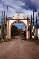 Image of sheet 19780150 photo 9: Gebäude, Menschen, Markt, Dörfer, Kathedrale, San Miguel de Allende Mexico, 1978.
Schauspieler (La grande Illusion) Robert Florian mit einer Empleada Angestellte Frida Kahlo Haus ihr Zimmer Dia del Muerto Tag der Toten eine Frau verkauft kleine Skelette aus Zucker San Miguel de Allende Markt Betrunkener liegt auf der Strasse