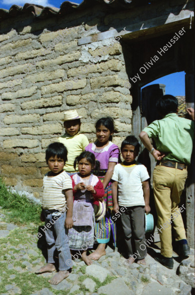 Image of sheet 19780170 photo 14: kleiner Papagei Lora isst aus Löffel  Mexico Fischerin Frau verkauft Fische
Stoff weben Weberei Guatemala Indio Indianer Gruppe Kinder auf der Strasse 
Mann trägt Maiskolben auf dem Rücken Kirchen