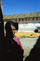Image of sheet 19780170 photo 15: kleiner Papagei Lora isst aus Löffel  Mexico Fischerin Frau verkauft Fische
Stoff weben Weberei Guatemala Indio Indianer Gruppe Kinder auf der Strasse 
Mann trägt Maiskolben auf dem Rücken Kirchen