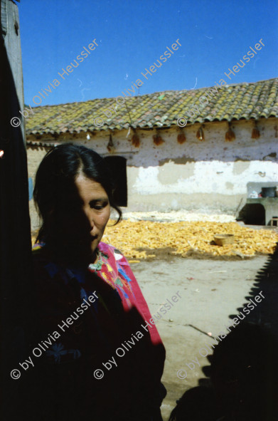 Image of sheet 19780170 photo 15: kleiner Papagei Lora isst aus Löffel  Mexico Fischerin Frau verkauft Fische
Stoff weben Weberei Guatemala Indio Indianer Gruppe Kinder auf der Strasse 
Mann trägt Maiskolben auf dem Rücken Kirchen