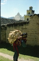 Image of sheet 19780170 photo 16: kleiner Papagei Lora isst aus Löffel  Mexico Fischerin Frau verkauft Fische
Stoff weben Weberei Guatemala Indio Indianer Gruppe Kinder auf der Strasse 
Mann trägt Maiskolben auf dem Rücken Kirchen