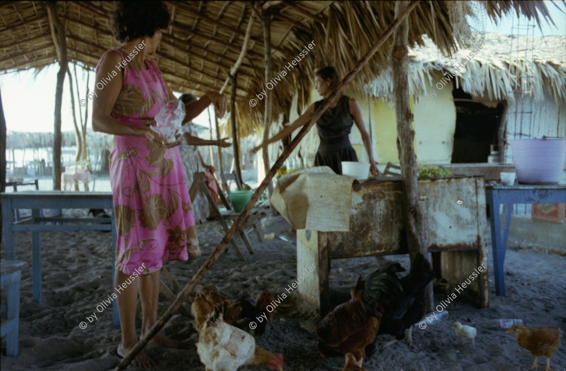 Image of sheet 19780170 photo 3: Fischerin verkauft Fische, Pazifik Küste, Mexico 1978.