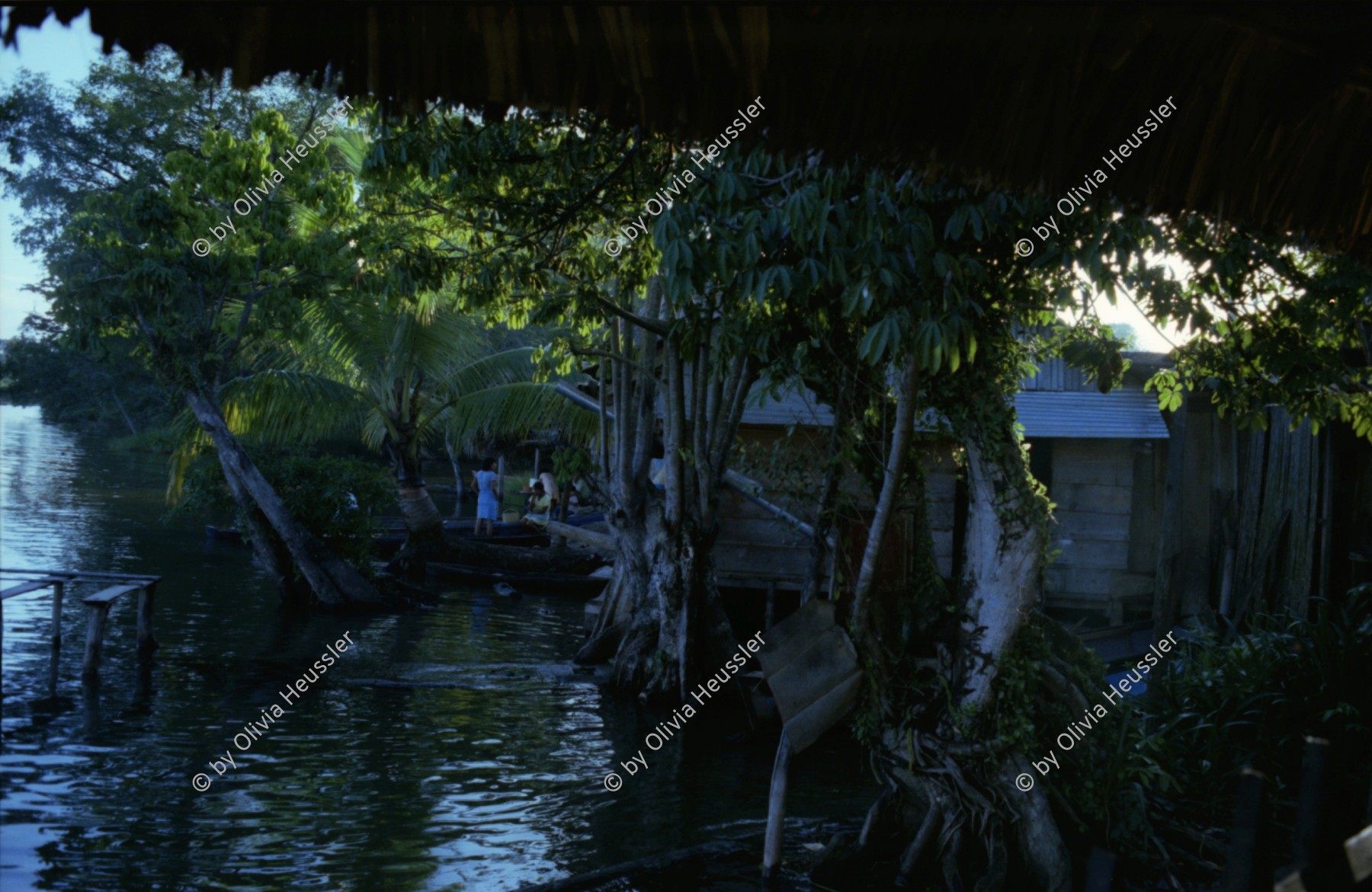 Image of sheet 19780180 photo 20: Party mit Beat dem Schweizer mit dem O. unterwegs war. und anderen bekifften Europäern am Lago Atitlan
Gruppenbild mit Olivia Heussler vor einem der beiden Lastwagen sie fährt mit diesen Männern tagelang von Coban durch den Dschungel mit Ziel Flores und Tikal und erfährt dort im Radio vom Massaker in Jonestown und meint es sei grad um die Ecke!
Transportbus Autobus gelber