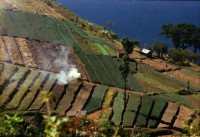 Image of sheet 19780180 photo 34: Landwirtschaft am Lago Atitlan, Guatemala 1978.