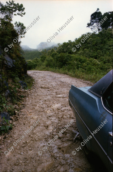 Image of sheet 19780180 photo 6: Unterwegs durch den Dschungel von Coban Richtung Flores und Tikal im Oldsmobile, Guatemala 1978.