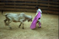Image of sheet 19780190 photo 32: d