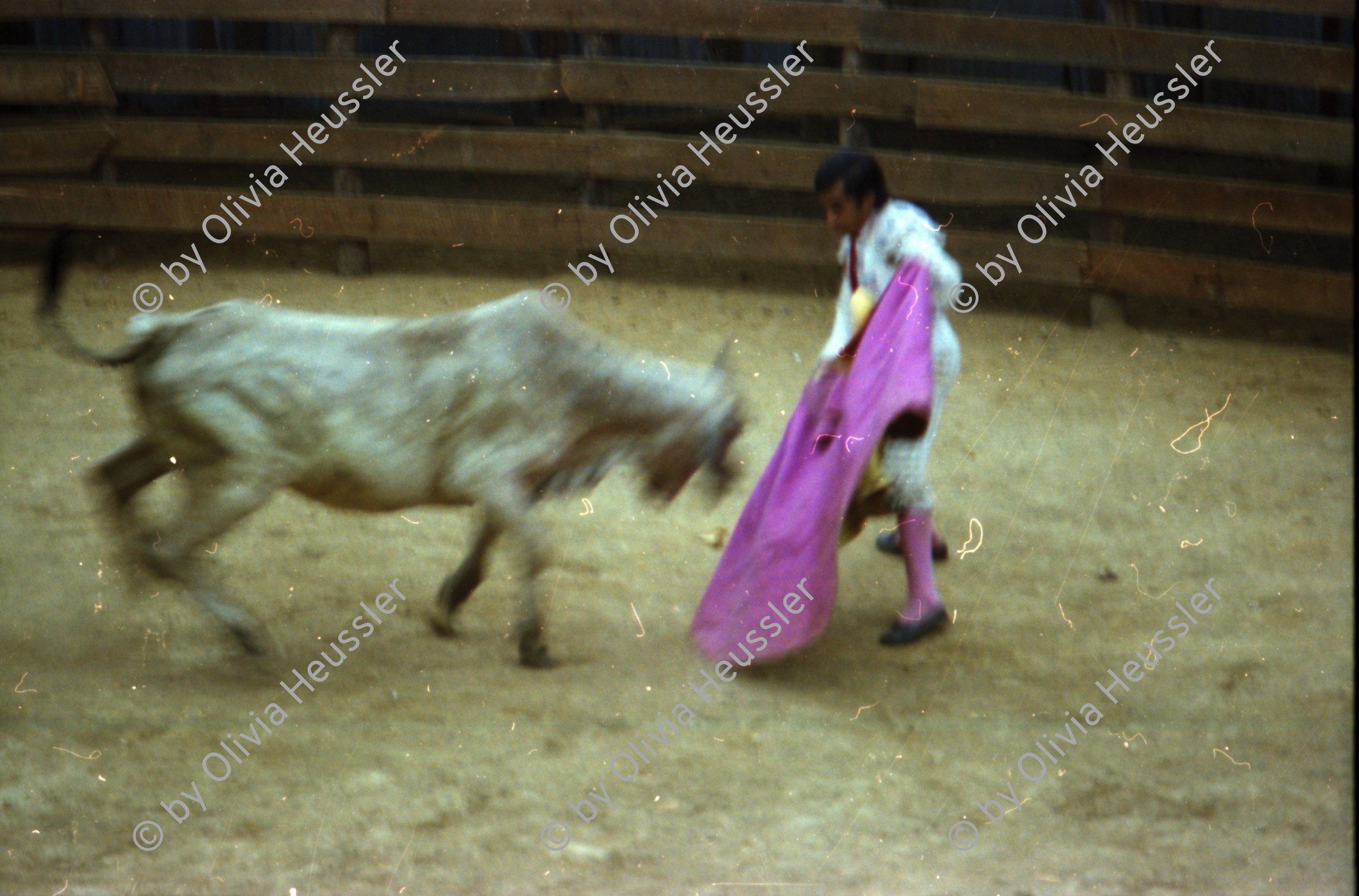 Image of sheet 19780190 photo 32: d