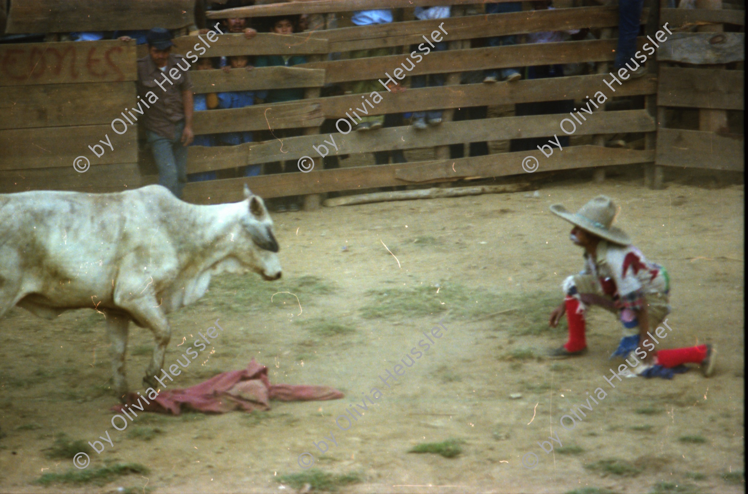 Image of sheet 19780190 photo 33: l