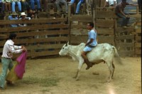 Image of sheet 19780190 photo 34: s