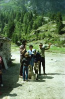 Image of sheet 19790071 photo 9: l
