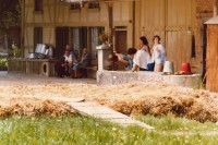 Image of sheet 19790080 photo 21: Demonstration gegen den Bau der Atomkraftwerke in Gösgen Pfingstmarsch Anti AKW Gegner Atomtod nein Danke
Pfingstmarsch von Atomkraftgegnern am Sonntag (03.06.79) bei der Baustelle des Kernkraftwerks Leibstadt.
Kanton Aargau Schweiz farmer farming Bauernhof Farm 
1979 √ nuclear protest anti Switzerland Swiss
