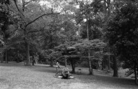 Image of sheet 19790260 photo 10: Film aus dem Archiv von meiner im Jahre 1987 in N.Y.C. verstorbenen Schwester Delia Heussler. Portrait Datum unbekannt