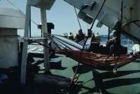 Image of sheet 19793001 photo 14: leer