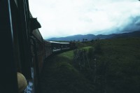 Image of sheet 19793001 photo 20: leer