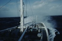 Image of sheet 19793001 photo 26: leer