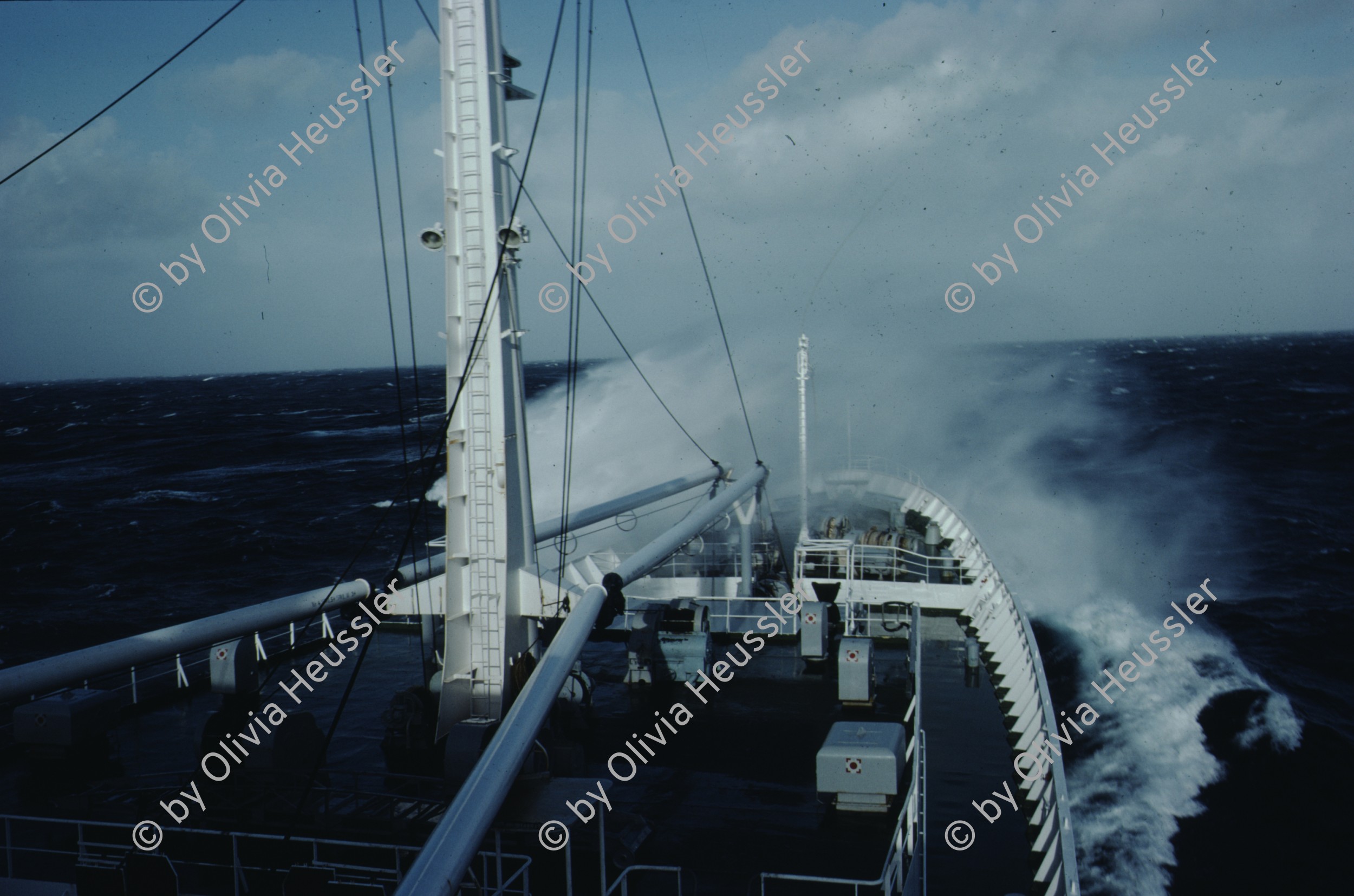 Image of sheet 19793001 photo 26: leer