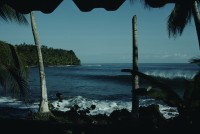 Image of sheet 19793001 photo 34: leer