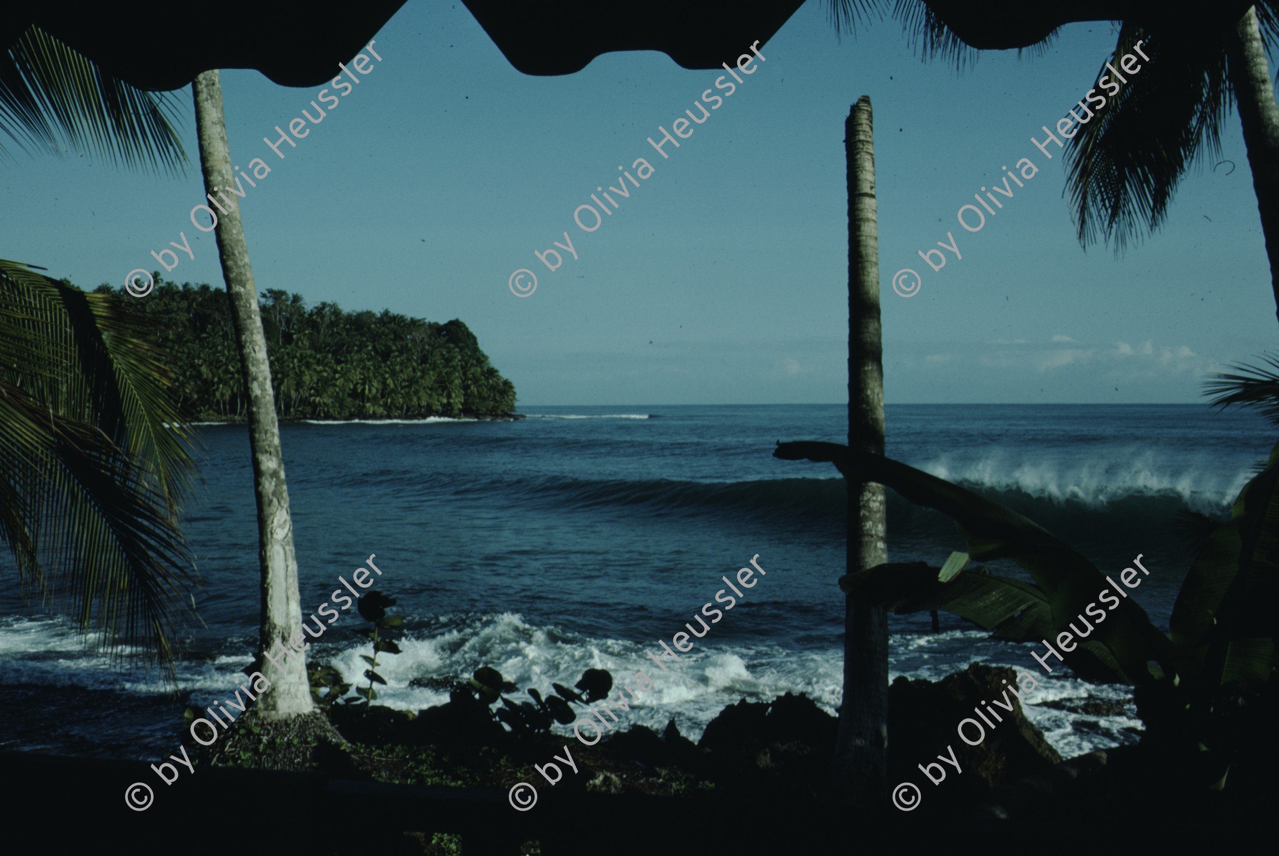 Image of sheet 19793001 photo 34: leer