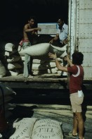 Image of sheet 19793001 photo 4: leer