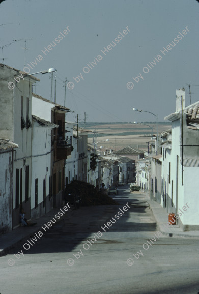 Image of sheet 19793002 photo 10: leer