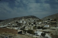 Image of sheet 19793002 photo 14: leer