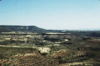Image of sheet 19793002 photo 21: leer