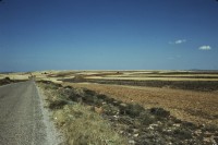 Image of sheet 19793002 photo 27: leer