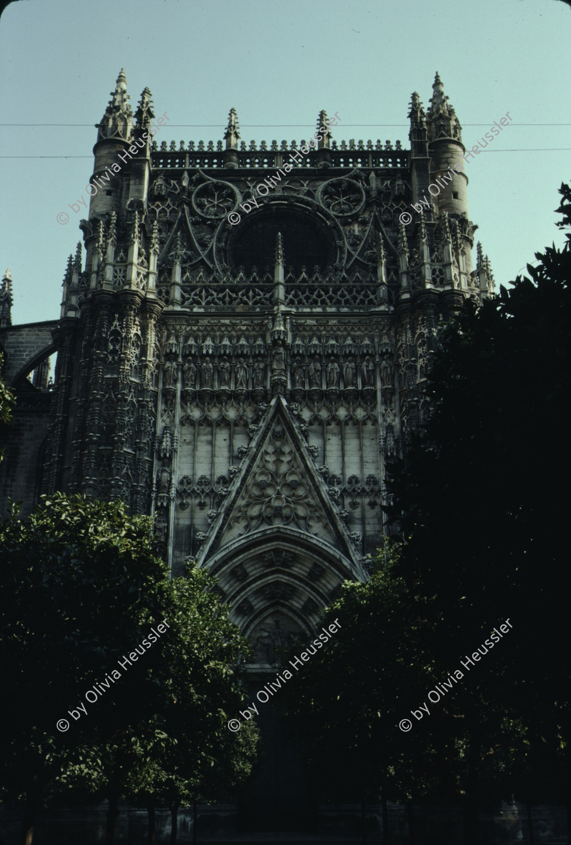 Image of sheet 19793002 photo 33: leer