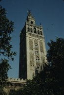Image of sheet 19793002 photo 34: leer