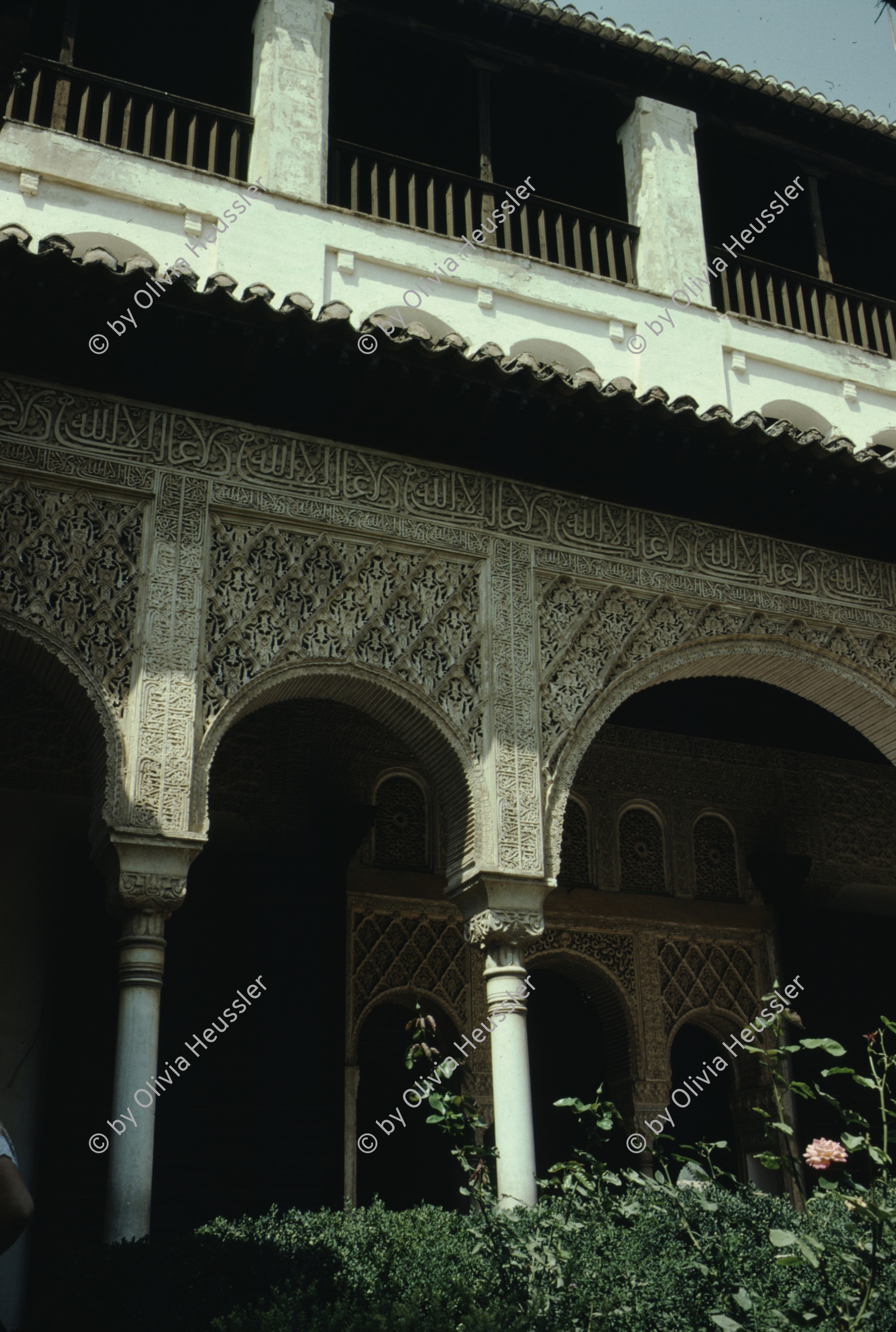 Image of sheet 19793002 photo 35: leer