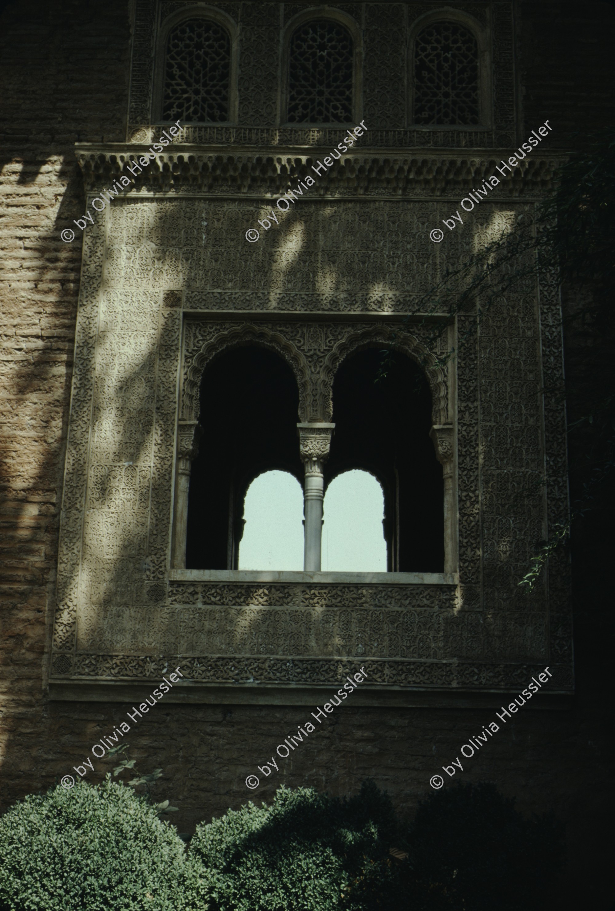 Image of sheet 19793002 photo 37: leer