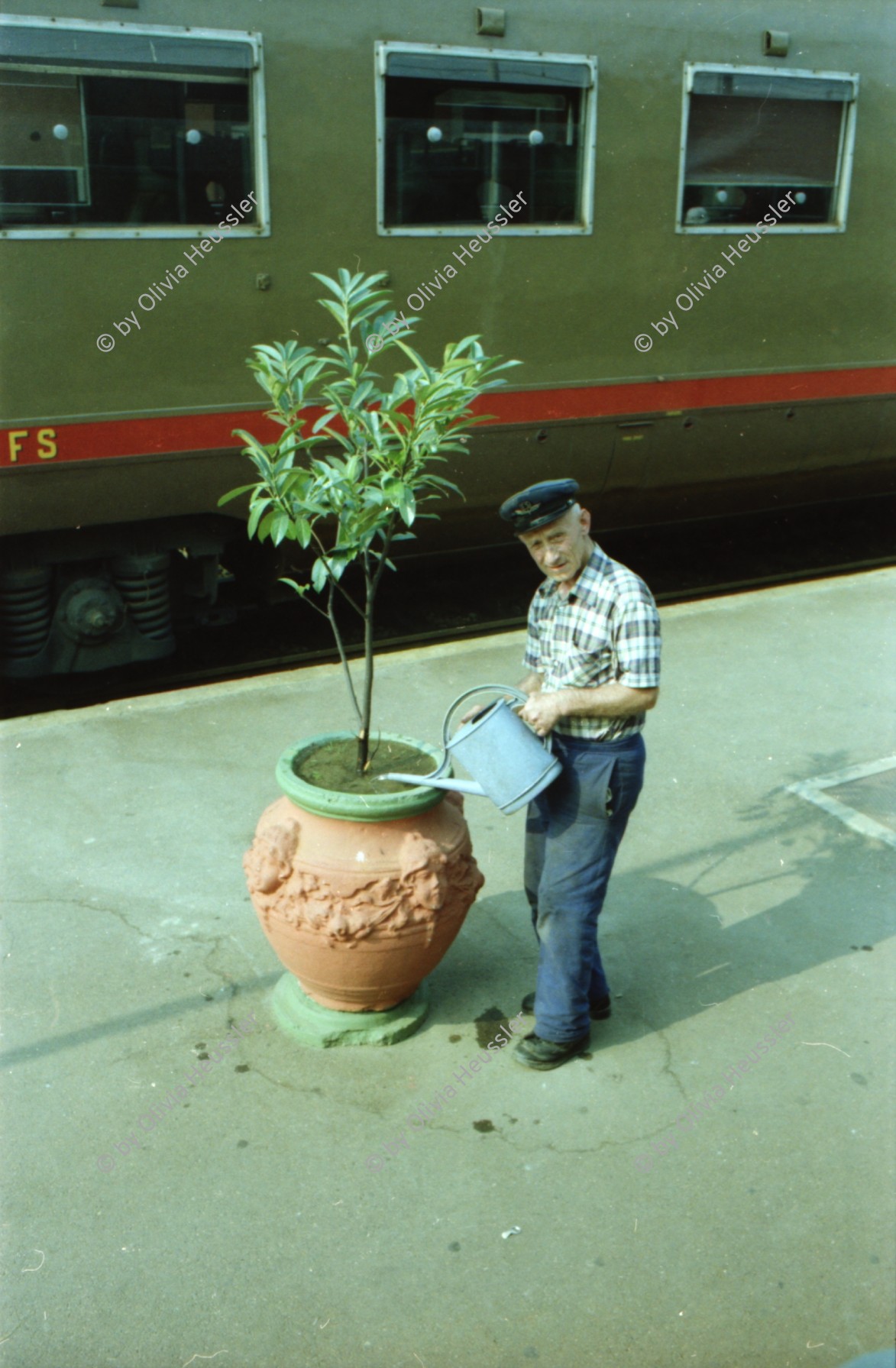 Image of sheet 19800010 photo 14: Mann giesst Topfpflanze, Bahnhof Sondrio Italien 1980.