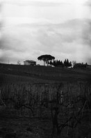 Image of sheet 19800040 photo 9: Landhaus bei Siena 1980 in Italien.

8888