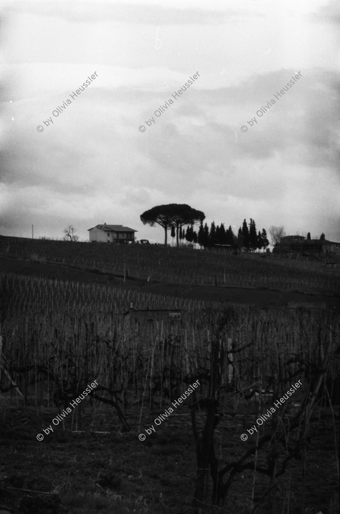 Image of sheet 19800040 photo 9: Landhaus bei Siena 1980 in Italien.

8888