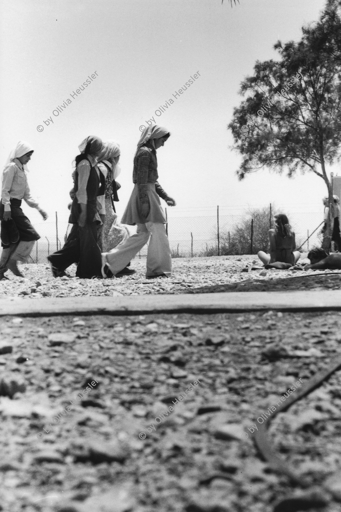 Image of sheet 19800120 photo 27: Das Tote Meer zieht wegen seiner heilenden Wirkung auch religiöse BesucherInnen an. Israel 1980 √

Because of its healing powers, the Dead Sea also attracts religious visitors.
Palestine 
copyright by Olivia Heussler