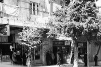 Image of sheet 19800120 photo 4: Im Jerusalemer Orthodoxen Teil, Mea Shearim, Orthodoxe Juden.
Israel 1980 Jerusalem