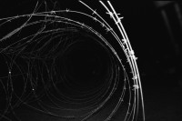 Image of sheet 19800150 photo 21: Stacheldraht, Zuerich 1980.
Barbe wire

Jugendbewegung