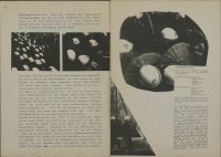 Image of sheet 19800160 photo 33: Ausstellung in: 
Ja, wir kopieren! Strategien der Nachahmung in der Kunst seit 1970. Kunstmuseum Solothurn 1923.
Kuratiert von Michael Hiltbrunner, Zürich.