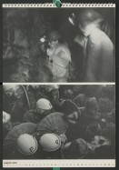Image of sheet 19800160 photo 33: Ausstellung in: 
Ja, wir kopieren! Strategien der Nachahmung in der Kunst seit 1970. Kunstmuseum Solothurn 1923.
Kuratiert von Michael Hiltbrunner, Zürich.