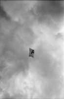 Image of sheet 19800180 photo 20: b