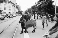 Image of sheet 19800180 photo 25: Unzufriedenen Demonstration mit Pfarrer Sieber und Esel vor dem Volkshaus in Zürich, 1980. youth movement protest Jugendbewegung Bewegig AJZ Zürcher Jugendunruhen Demonstrationen