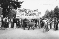 Image of sheet 19800180 photo 29: Pfarrer Sieber nimmt mit seinem Esel an einer Demonstration der Jugendbewegung teil. Zürich, 1980. Spruchband  Transparent «Ohne Polizei kein Krawall»
Zürich youth movement protest 1980 √