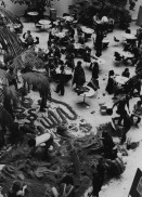 Image of sheet 19800241 photo 22: Paragrafenzeichen aus Sand. Palme Sandfiguren Spiel 'Gegen eine vergilgte Uni' In Kübel und Garette wird Sand transportiert.
Jugendbewegung Bewegig AJZ Zürcher Jugendunruhen Demonstrationen
Zürich 1980 youth movement protest
√
In der Uni-Mensa 'spielen' die Studierenden aus Protest wie kleine Kinder mit Sand.
Universität Jugendbewegung Bewegig AJZ Zürcher Jugendunruhen Demonstrationen Youth student protest Switzerland university