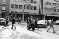 Image of sheet 19800302 photo 21: Mann regelt Verkehr an der Langstrasse und Limmatstrasse am Limmatplatz in Zürich während einer Demonstration.

Jugendbewegung Bewegig AJZ Zürcher Jugendunruhen Demonstrationen
Zürich youth movement protest 1980