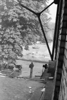 Image of sheet 19800304 photo 9: Das AJZ wird ganz mit Tränengas eingeräuchert. Leute kriegen
Panik und flüchten auf Dach. Dort wird auch hingespritzt. Barrikaden auf der Limmatstrasse.
Jugendbewegung Bewegig AJZ Zürcher Jugendunruhen Demonstrationen
Zürich youth movement protest 1980 √ teargas police panic Kreis fünf Schweiz Switzerland Europe