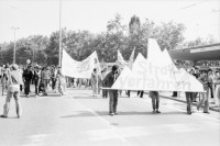 Image of sheet 19800322 photo 37: An der Demonstration wird ein Eisberg aus Styropor mitgetragen, Zurich, 1980.
Jugendbewegung Bewegig Zürcher Jugendunruhen Demonstrationen
Zürich youth movement protest